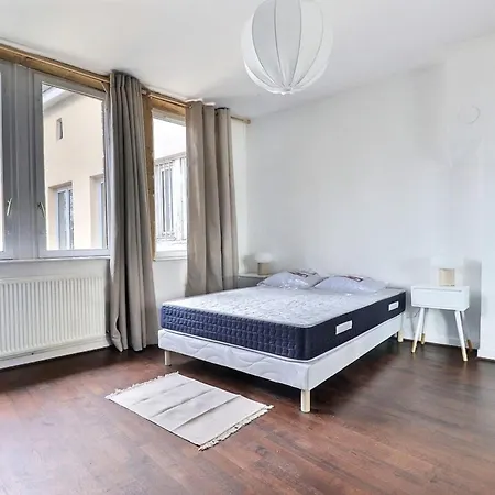 Le St Georges - Charming & Spacious Flat - 5th 公寓 里昂